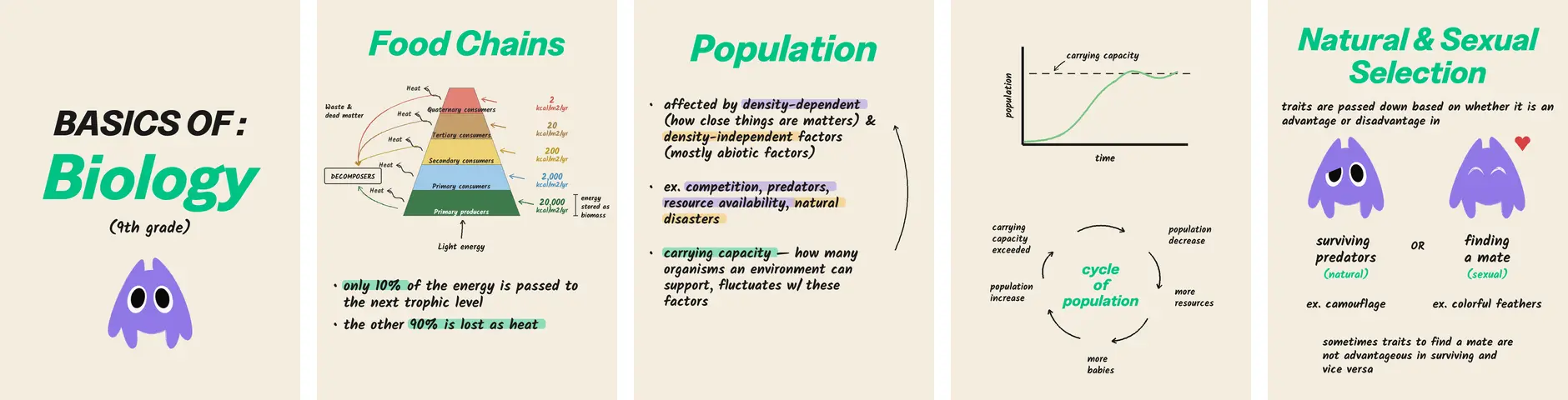 Pipeline content: carousel post slides